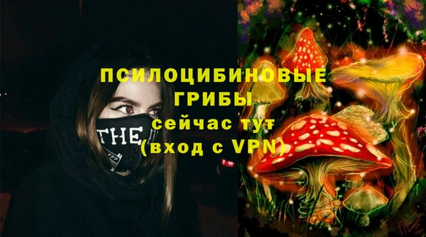 дживик Лихославль